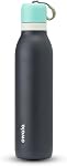 Owala FreeSip Twist Bouteille d'eau en acier inoxydable isolante avec paille pour les sports et les voyages, sans BPA, 24-oz, Pink/Purple (champ de rêve)