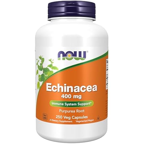 NOW Echinacea Root Capsules Cover