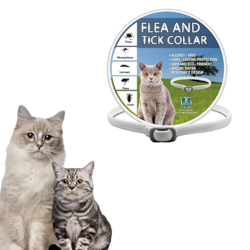 JYIXTN m~ 悯   ւɂ錢 Lp VR p m~E_j\h gp ybg m~E_j΍pi t  Kp VRn[u 8 ߉\ (O[, 48cm)