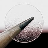 1/2 Crystal Clear, Wafer Seals — Permanent Adhesive (1,000 Labels/Roll, Non-Perforated)