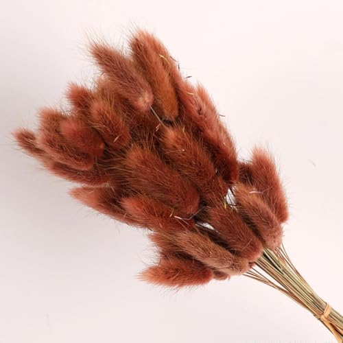 Decoración de Pasto Pampas Seco, 60 piezas, 45 cm miniatura 1