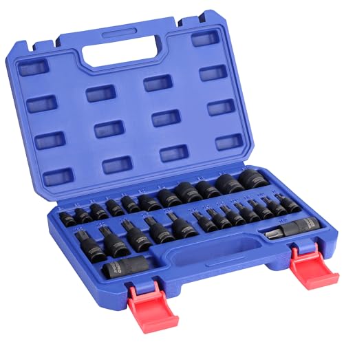 WORKPRO 25-Piece Torx Bit & External E Socket Set