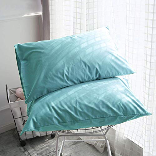 FLXXIE Microfiber Pillow Cases Queen Size Set of 2, Soft Pillowcases with Envelope Closure, Wrinkle Resistant Pillow Covers, 20x30, Aqua
