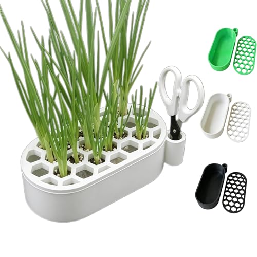 Hydroponic Growing System, Self Watering Scallion Planter Garlic Sprout Kit,