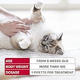 Beaphar - FIPROtec Spot-On for Cats - Kills Fleas & Ticks - Vet Strength Treatment - Easy to Apply - Suitable for Cats & Kittens from 8 Weeks of Age, Weighing more than 1kg - 6 Pipettes - Image 6