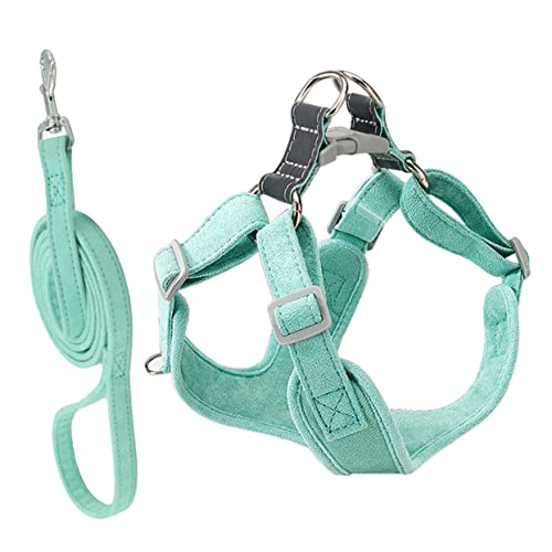 Toddmomy 1satz Hundegeschirr Mit Für Kleine Und Mittelgroße Hunde Verstellbare Und Tragbare Hundeharness Für Training Und Outdoor-aktivitäten