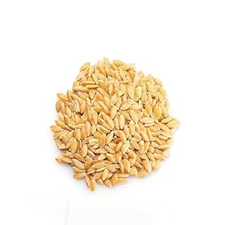 Yupik Organic Whole Einkorn, 1 kg, Raw, Non-GMO, USDA Certified, Kosher, Ancient Grain, Good Source of Fiber, Ideal for Milling into Flour, Porridge & Soups