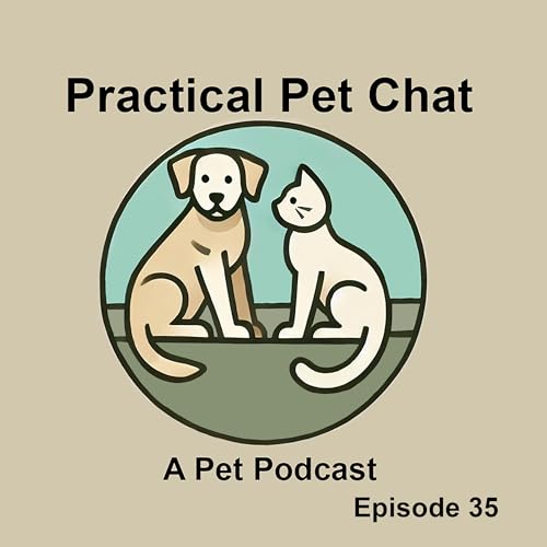Page de couverture de Practical Pet Chat - Episode 35 - Top things to do for your pet this week