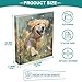 ALAZA Golden Retriever Puppy Dog Animal 3 Ring Binder Holds of 200 Sheets Fits Letter Sized Paper D-Ring Organizer for School Home Work Office Supplies 2 Pack
