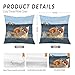 Foritho Funny Orange Cat Vs. Shark Meme Throw Pillow Covers 18x18, Humorous Gifts for Cat Shark Lovers, Funny Animal Renaissance Style Decorative Pillow Covers for Home Bedroom Living Room Office