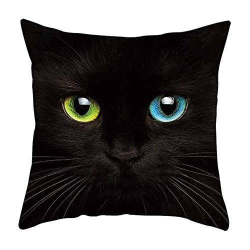 RENNICOCO Chat Mignon Couvre-oreillers, Housse de Coussin décor à la Maison pour Salon Chambre...