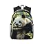Panda With a Tilted Head