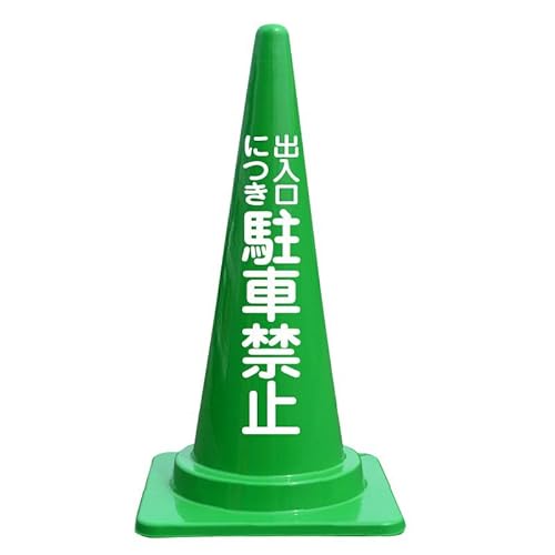 oɂԋ֎~  J[R[ oC OpR[ 700mm O[