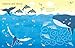 Wipe-clean Under the Sea Activities (Wipe-clean Activities)