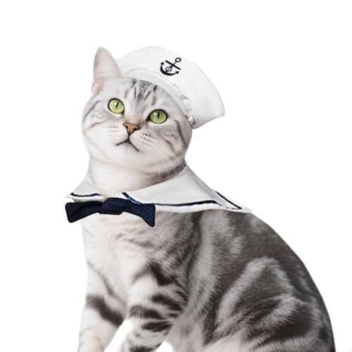 Costume de chat pour Halloween confortable pour chaton et chiot sensible - 9