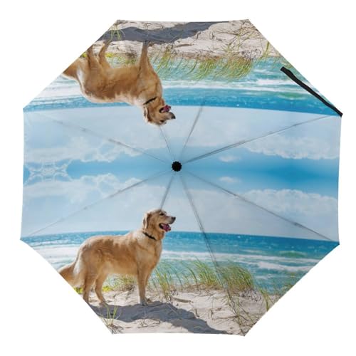 Parapluie Golden Retriever pliable pour balades sous la pluie