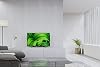 Sony KD-32 32" BRAVIA HD Multi-Sistema Smart Wi-Fi LED TV con Cable HDMI, 110-240 Voltios 4