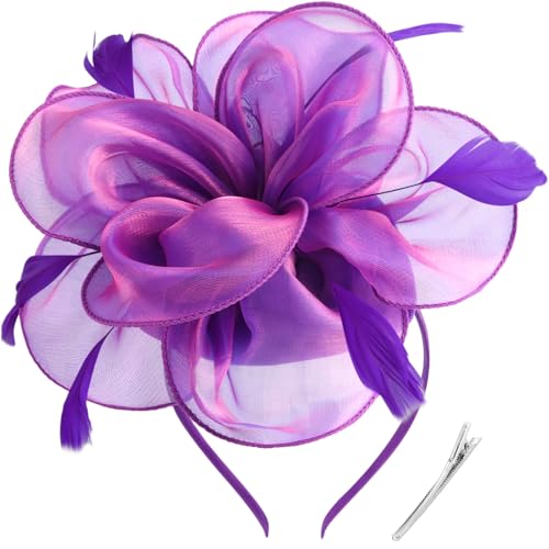 Image of DRESHOW Fascinators Hat Tea Party Headwear Ribbons Feathers on a Headband and a Clip for Women
