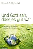  Und Gott sah, dass es gut war: Schöpfung und Endlichkeit im Zeitalter der Klimakatastrophe