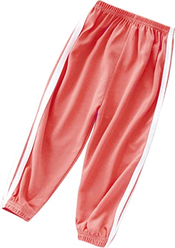 [Zh[JAPAN] LbY2{TChCpc W[W LbY  qǂ q j̎q ̎q _X Y{ 2{C 2{ O bNX pW}  (100A R[)