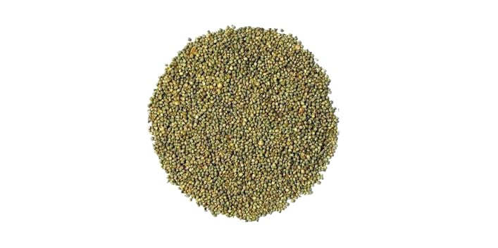 Bajra Seeds - Premium Pearl Millet Bird Food for Optimal Avian Nutrition | All Life Stages Supported (B0CN4P7JLH) Amazon Price History, Amazon Price Tracker