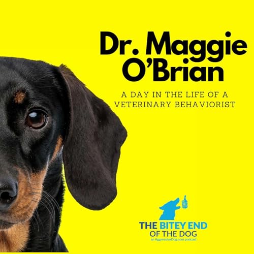 Beyond Training: The Medical Side of Aggression with Dr. Maggie O'Brian