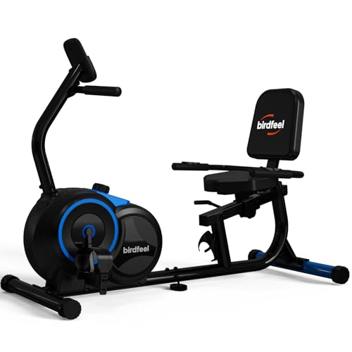 400 lb Recumbent Bike with 16 Gears