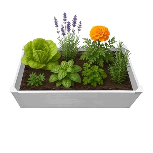 One Sweet Earth Raised Garden Bed - 2x4 ft Planter Box - White HDPE - No Tools Needed - DIY Kit for Urban Gardening, Flowers, Herbs & Vegetables - Made in The USA