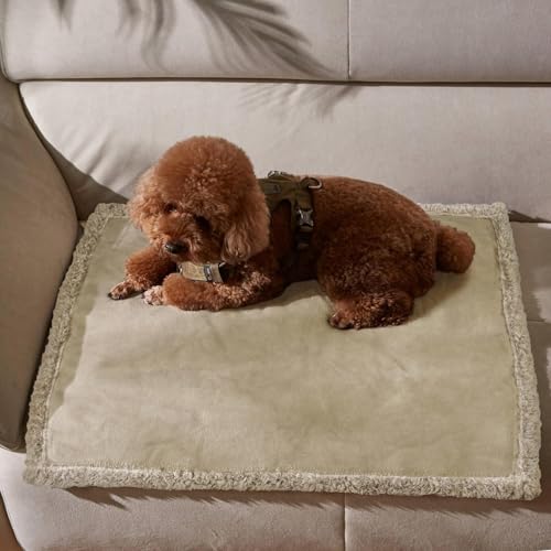 Pawsee Wasserdicht Hundedecke Katzendecken Waschbar, wasserdichte Decke für Unterwegs Hundesofa Schutzdecke Sofa Überwurf, Flauschig Hundedecke für Miniaturhunde Kleine Hunde Katzen,XS 75 x 60cm