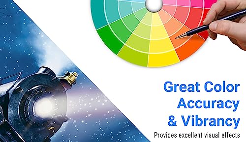 Professional Photography Backdrop System