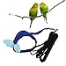 DOITOOL 3pcs Bird Leash for Outdoor Training Traction Rope Texture for Cockatiel