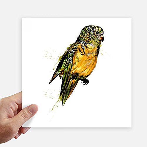Autocollant oiseau budgie parrot carré 20 cm multicolore DIYthinker x4