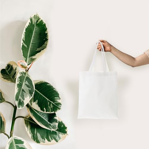 Bolsas de lona ecológicas para tus compras y llevar libros cómodamente 6