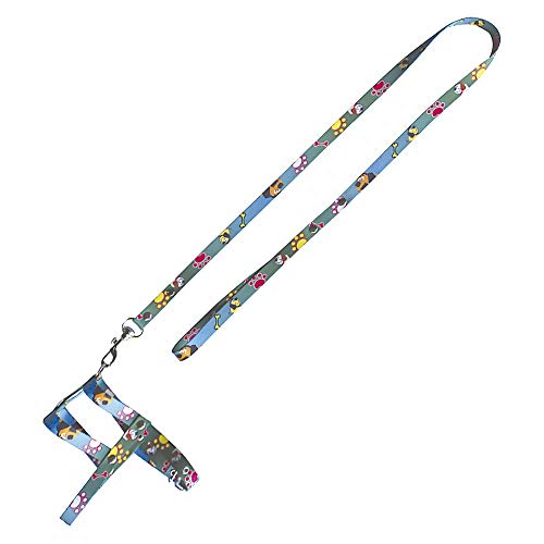 Furacão Pet Conjunto. Guia Tradicional com Peitoral N.4 para Cães (cores sortidas)