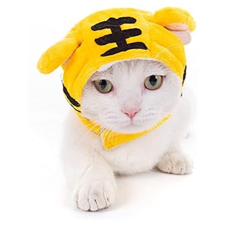 いよいよ人気ブランド ペット 帽子 猫用 犬用 かぶりもの 可愛い 耳付き 着脱簡単 マジックテープ付き 猫 被り物 ペット用品 お散歩 お出かけ コスチューム 記念撮影 にゃんこ用 ワン用 Tepsa Com Pe