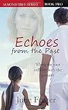 Echoes From the Past (Almond Tree Series)