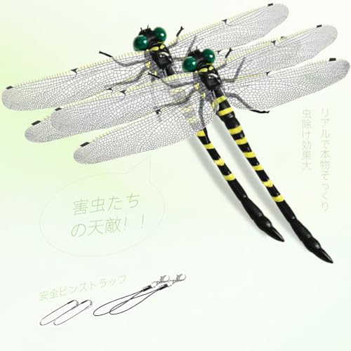 g{ Ki x "{ƂقړTCY"  悯 g{ PVCގ   ނ  x_ Ԍ  oR kނ Lv AEghA OƉp 2PC