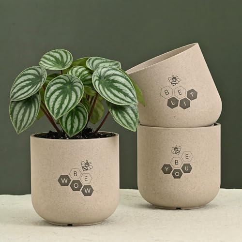 Image of Eha Earth-Friendly Printed Small Terrapod Planters for Home Decor | 3.5 Inch, Pack of 3 | Plant Gifts Made with Rice Husk Biocomposite | Flower Pot for Living Room| Sand Castle