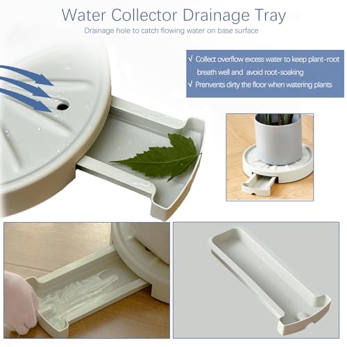 Dcpes XB-DRAINAGE-12 Inch Plants Caddy thumb #1
