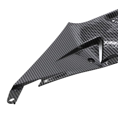 Panneaux de carénage carbone ABS S1000RR pour protéger le réservoir