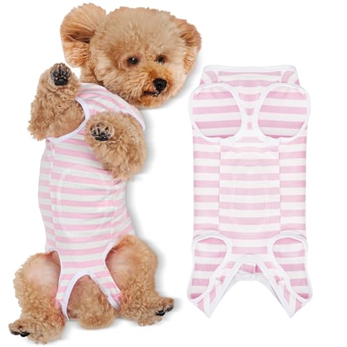 Image of Comprehensive Post Surgery Dog Recovery Suit Ensuring Ultimate Comfort Unrestricted Mobility: Premium Cotton Protective Wound Care Shirt for Puppies, Cats, and Small Pets Rose Red 2XL