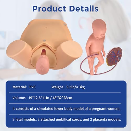 Image of Childbirth Simulator Twin Birth Skills Training Mode, Advanced Midwifery Training Model with 2 Fetal Model & 2 Umbilical Cord & 2 Placenta for Practicing Midwifery and Delivery Skills