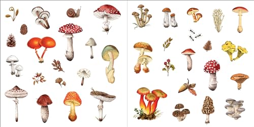 Bunches of Botanicals Sticker Book (Over 500 stickers!) (Sticker Books) - Image 17