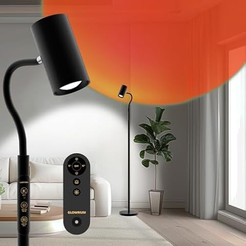 GLOWRIUM Reading Floor Lamp H2,Dual-Side Floor Lamps for Living Room,Bedroom,5 Color Temperatures and 5 Atmosphere Lighting Modes,Adjustable Gooseneck Reading Floor Lamp for Home and Office Cover