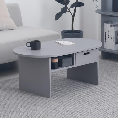 VENTOTA ローテーブル リビングテーブル 幅90cm 奥行き50cm テーブル センターテーブル おしゃれ リビング 収納付き 一人暮らし 丸型 コンパクト ワンルーム がたつき防止 cirllo-ct (グレー)