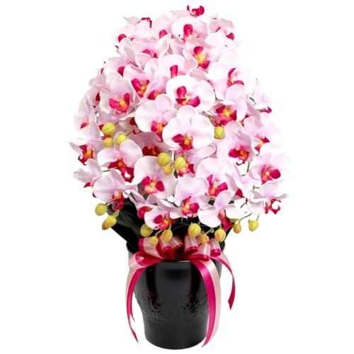 Rv  G}H VNt[ Ӓ A 7{ Cgp[v  Vzj JXj Mtg v[g t[Mtg