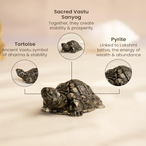 Image of Astrotalk Pyrite Tortoise (Pack of 2) | Vastu Items for Wealth, Stability & Prosperity | Resin Tortoise for Good Luck for Home & Office | Elegant Gift for Housewarming | Home Decor for Living Room