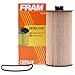 FRAM CH9549 Ford 6.0L & 6.4L Powerstroke Diesel Filter
