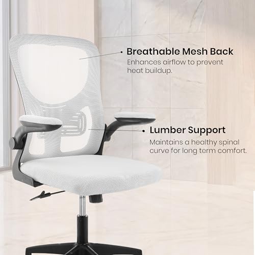 Image of Casa Copenhagen White Black | Mid Back Imported Mesh Fabric Boss Office Chair | Y Design Ergonomic Back Support | 2D Aero Design Adjustable Armrests | Synchro Tilt Lock Mechanism | Adjustable Lumbar