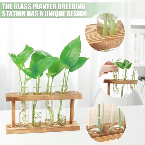 Image of ecofynd Test Tube Planter with Wooden Holder, Air Planter Glass Vase Holder with 4 Test Tube, Home Decor Hydroponic Plant Stand for Table Top, Desktop, Living Room, Office (TTP004)